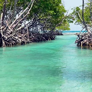 https://combate-green-house.top-hotels-puertorico.com